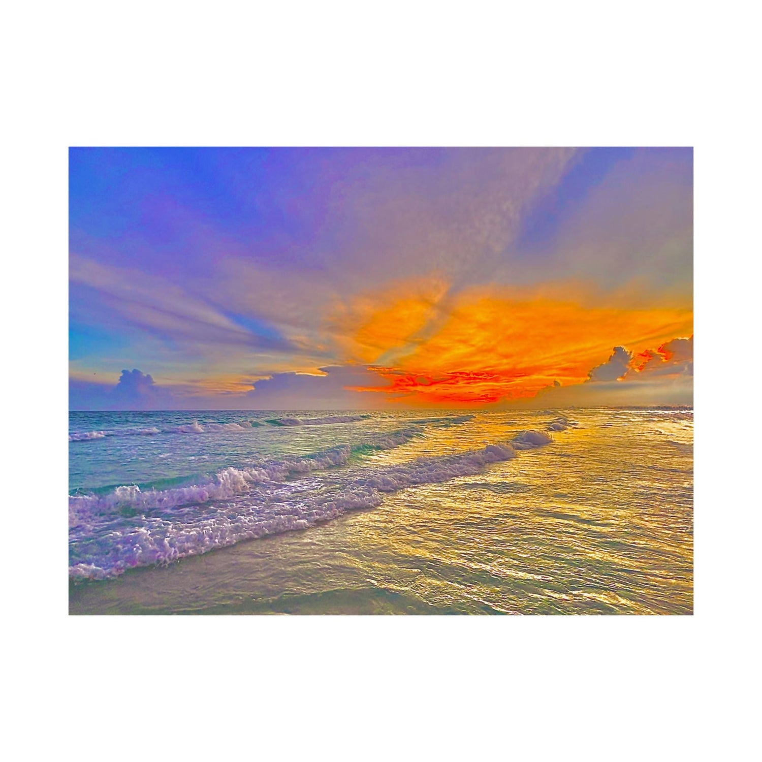 Shop Coastal Art