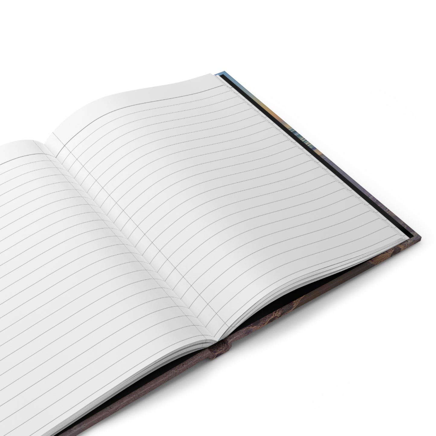 Reflections at Sunset Journal